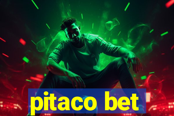 pitaco bet